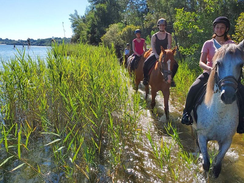 Arjuzanx Loisirs Nautiques Loisir Nautique Mimizan Balades A Cheval